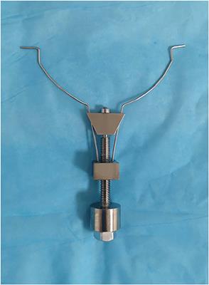 Laparoscopic Orthotopic Kidney Transplantation in Swine: A Novel Vascular Prop Device for Venous Anastomoses